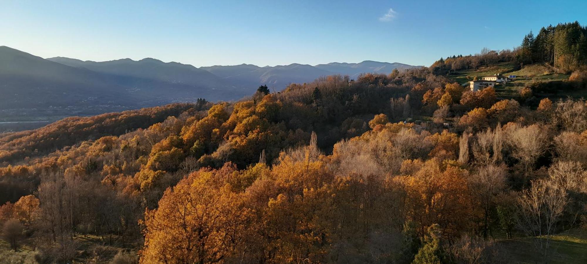 La Romanina Bagnone エクステリア 写真